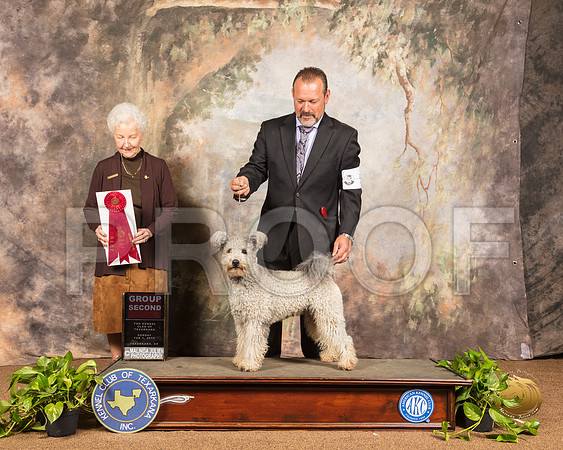 Pumi #5 Sun G2 Judge Paula Hartinger _SSR_1162-TXRKNA2019-HR3