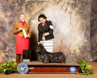Skye Terrier #5 Sun OHG2 Judge Carolyn Herbel