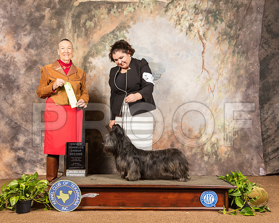 Skye Terrier #5 Sun OHG2 Judge Carolyn Herbel_SSR_1088-TXRKNA2019-HR3