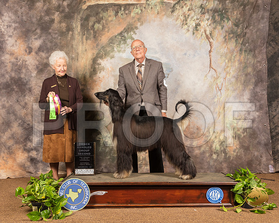 Afghan Hound #8 Sat OHG2 Judge Paula Hartinger_SSR_1305-TXRKNA2019-HR3