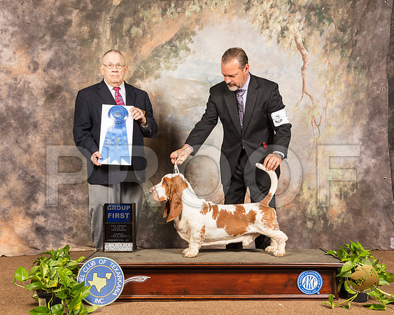 Basett Hound #5 Sun G1 Judge Dr Donald Gill_SSR_1275-TXRKNA2019-HR3