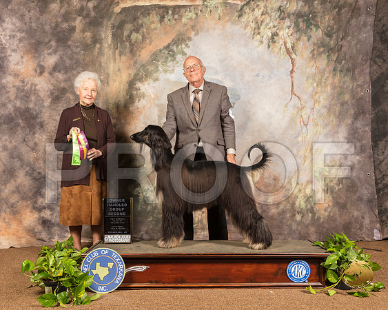 Afghan Hound #8 Sat OHG2 Judge Paula Hartinger_SSR_1304-TXRKNA2019-HR3