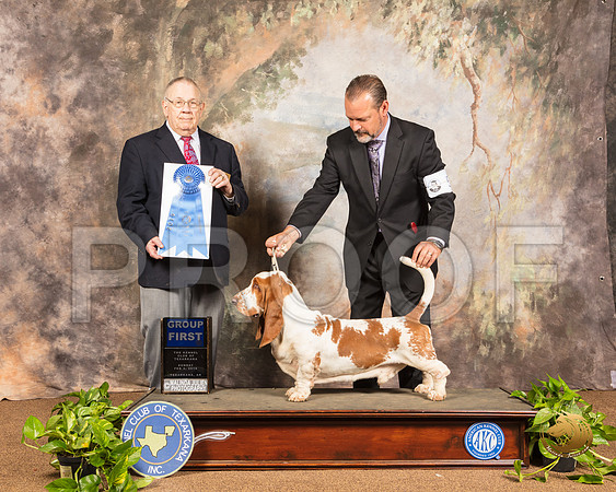 Basett Hound #5 Sun G1 Judge Dr Donald Gill_SSR_1276-TXRKNA2019-HR3
