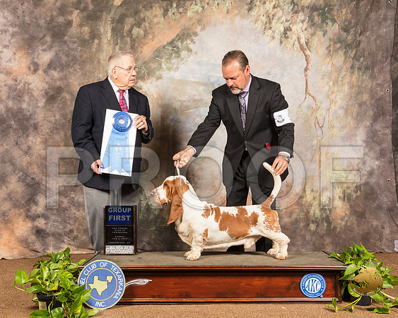 Basett Hound #5 Sun G1 Judge Dr Donald Gill_SSR_1274-TXRKNA2019-HR3