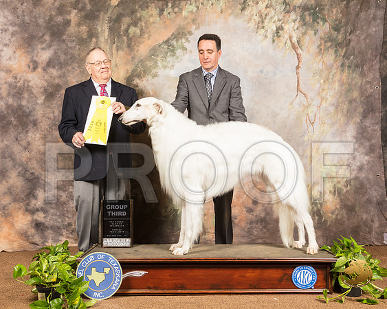Borzoi #5 Sun G3 Judge Dr Donald Gill_SSR_1280-TXRKNA2019-HR3