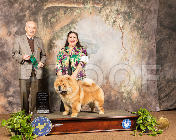 Chow #5 Sun OHG3 Judge Roger Hartinger_SSR_1237-TXRKNA2019-HR3