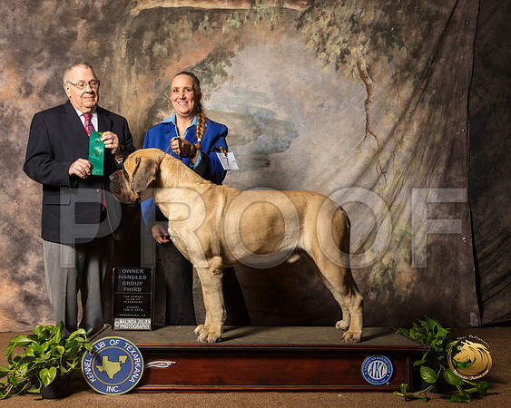 Mastiff #7 Sun OHG3 Judge Dr Donald Gill_SSR_1202-TXRKNA2019-HR3