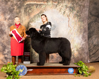 Newfoundland #9 Sun G2 Judge Carolyn Herbel