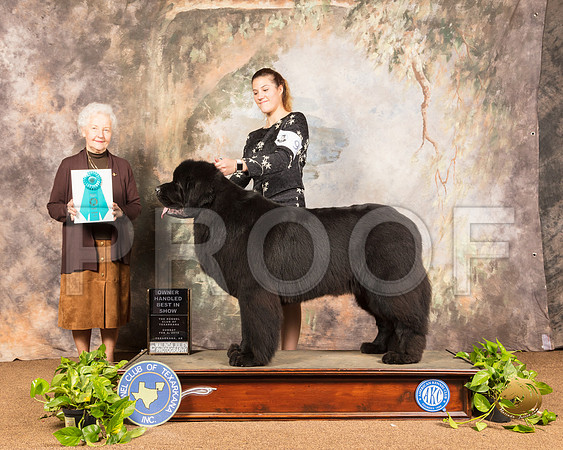 Newfoundland #9 Sun OHBIS Judge Paula Hartinger_SSR_1301-TXRKNA2019-HR3