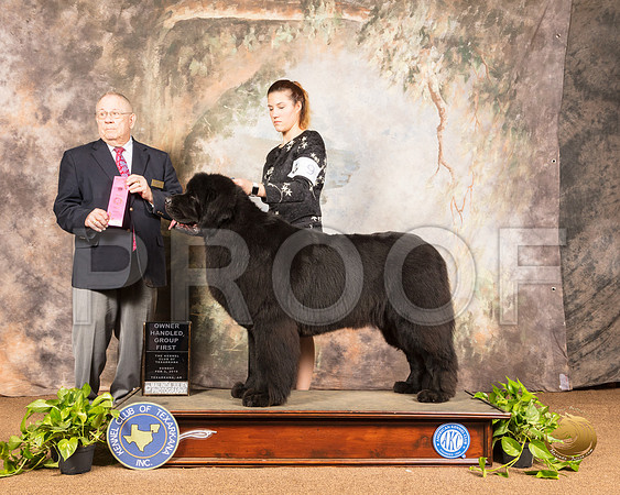Newfoundland #9 Sun OHG1 Judge Dr Donald Gill_SSR_1208-TXRKNA2019-HR3