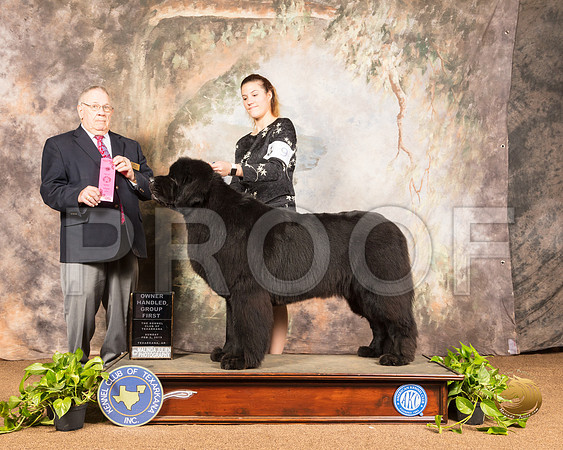 Newfoundland #9 Sun OHG1 Judge Dr Donald Gill_SSR_1209-TXRKNA2019-HR3