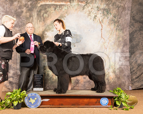 Newfoundland #9 Sun OHG1 Judge Dr Donald Gill_SSR_1210-TXRKNA2019-HR3