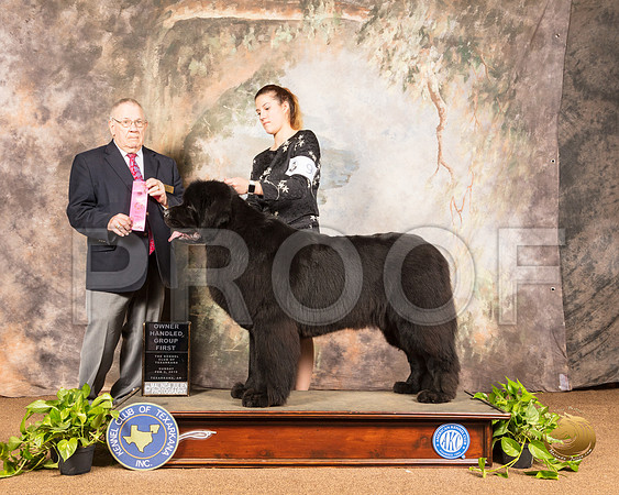 Newfoundland #9 Sun OHG1 Judge Dr Donald Gill_SSR_1211-TXRKNA2019-HR3