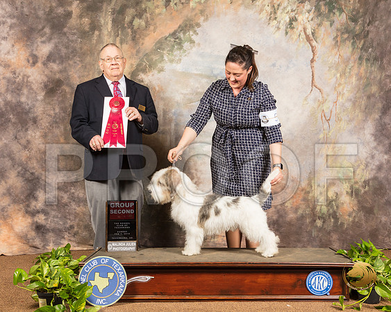 PBGV #5 Sun G2 Judge Dr Donald Gill_SSR_1264-TXRKNA2019-HR3