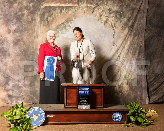 Papillon #10 Sun G1 Judge Murrel Purkhiser_SSR_1245-TXRKNA2019-HR3