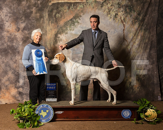 Pointer #9 Sun G1 Judge Gloria Kerr_SSR_1291-TXRKNA2019-HR3