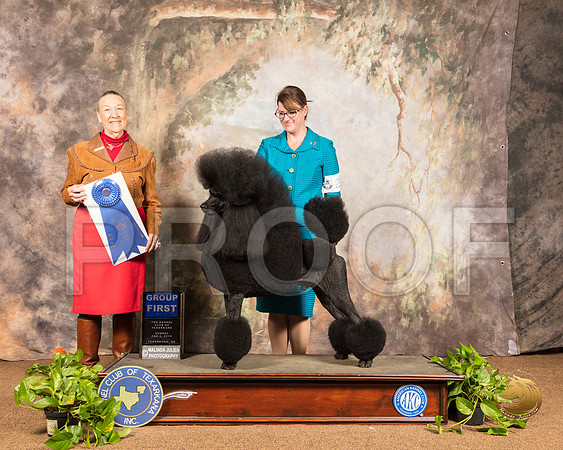Poodle Standard #21 Sun G1 Judge Carolyn Herbel_SSR_1217-TXRKNA2019-HR3