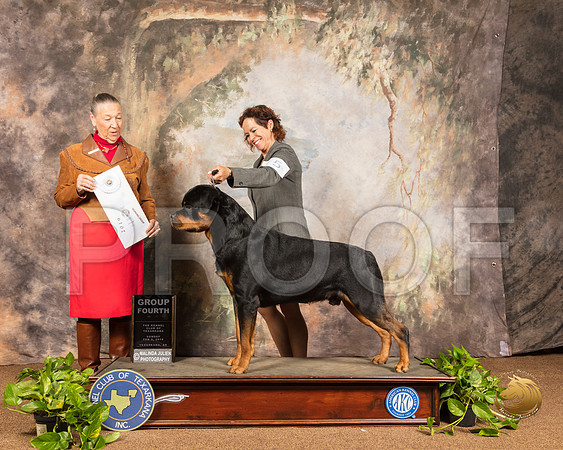 Rottweiler #5 Sun G4 Sun Judge Carolyn Herbel_SSR_1227-TXRKNA2019-HR3