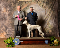 Saluki #6 Sun OHG1 Judge Col Joe Purkhiser