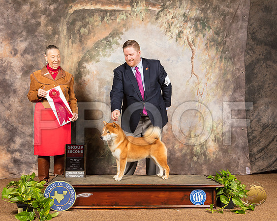 Shiba Inu #7 Sun G2 Judge Carolyn Herbel_SSR_1234-TXRKNA2019-HR3