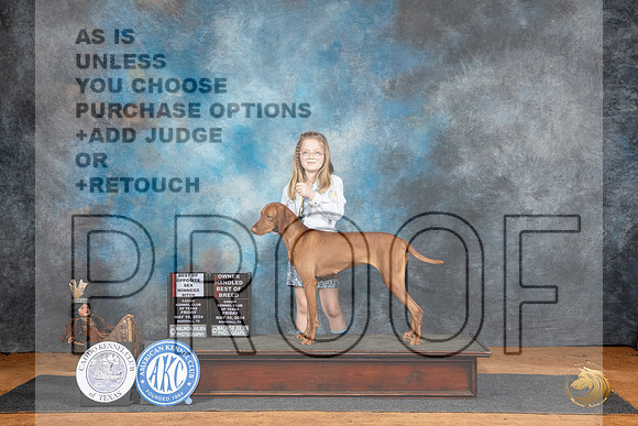 Vizsla #16 Fri WBBOSOHBOB Judge Suzanne Dillin__JP_7058_MARSHALL_2024_HR3