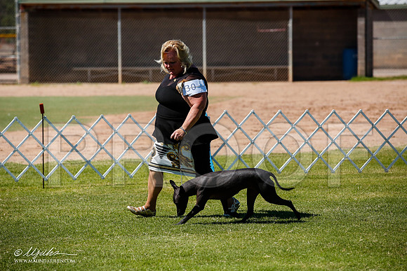 _JJ_8383-AlamogordoOct2014-HR3