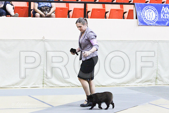 MatchPup-9375LR