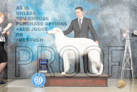 Borzoi #11 Sun G1 Judge Sharon Derrick_MJ_5121_Amarillo_2022_HR3