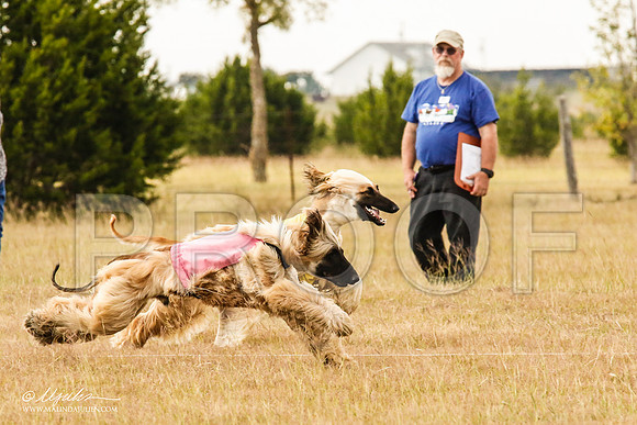 _MJ_5714-AfgBeltonOct2014-HR3