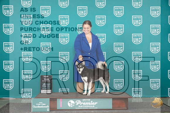Alaskan Klee Kai Thur BOBT10 Judge Rick Gann__JP_3082_Premier_2024_HR3