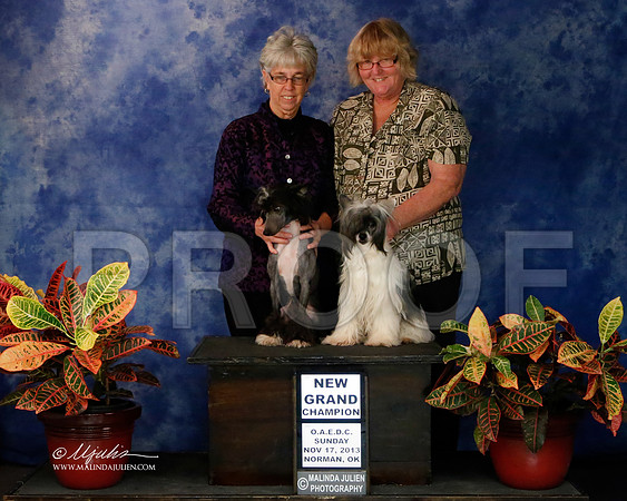 CC-9485-NormNov2013-HR