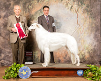 Borzoi #7 Sat G2 Judge Roger Hartinger