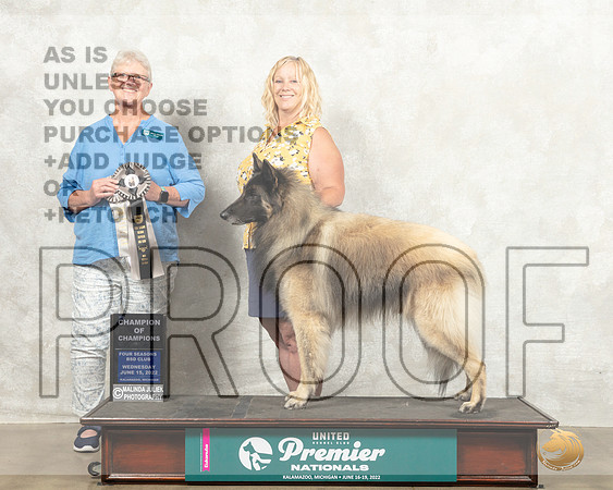 Belgian Shepherd Dog #21 Wed VRCOC Judge Alleyene Dickens_MMJ_6875_Premier_2022_HR3