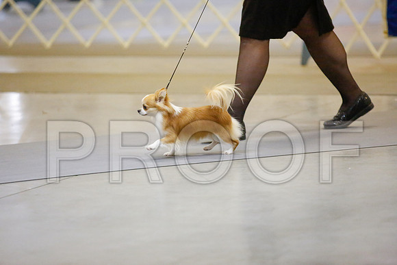 _JJ_8709-AmarilloSept2014-HR3