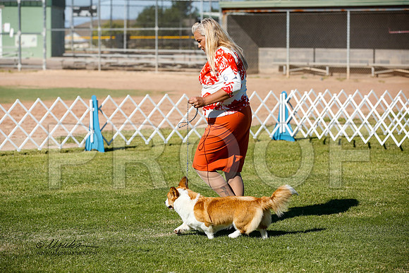 _JJ_2551-AlamogordoOct2014-HR3