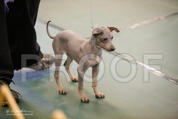 _JN_3326-BeltonJan2015-HR3