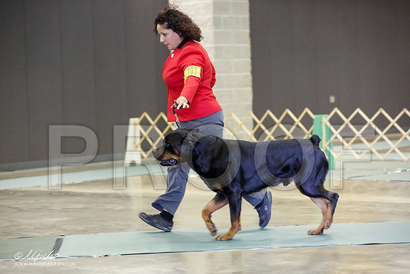 _JN_2147-BeltonJan2015-HR3