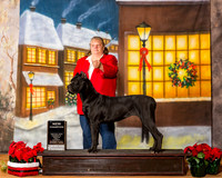 Cane Corso Sat S1 NC Michelle Jackson