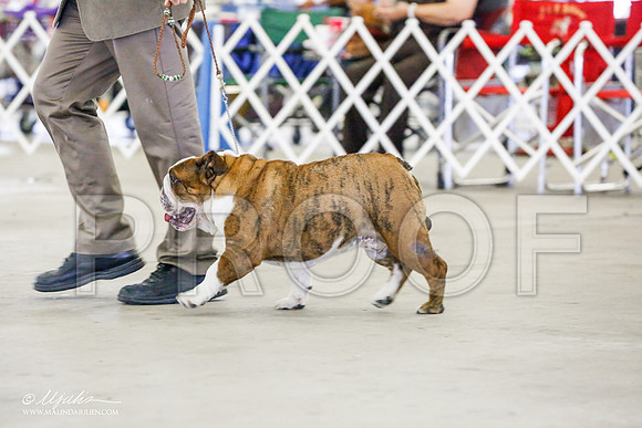 _RH_9534-AlamogordoOct2014-HR3