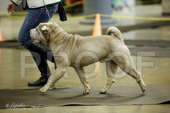 _JJ_5734-BeltonJan2015IABCA-HR3