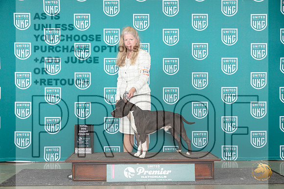 American Pit Bull Terrier #244 Sat TDG4 Judge Diane Price__JP_2660_Premier_2024_HR3