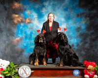 Gordon Setter #9 Valentines Day