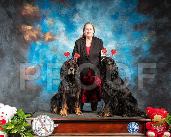 Gordon Setter #9 Valentines Day_SSR_1791-Midland19-HR3