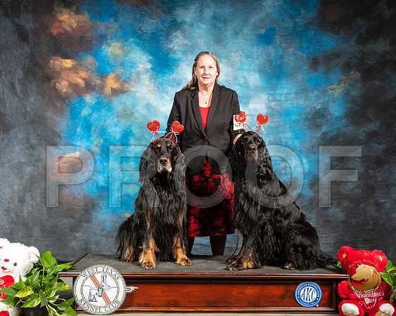 Gordon Setter #9 Valentines Day_SSR_1792-Midland19-HR3