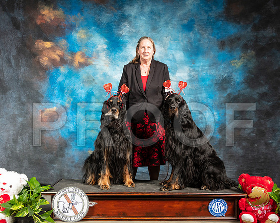 Gordon Setter #9 Valentines Day_SSR_1793-Midland19-HR3
