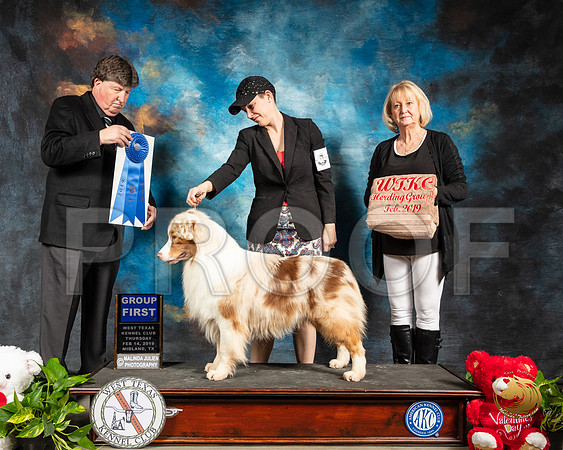 Australian Shepherd #17 Thur G1 Judge Charles Olvis_SSR_1809-Midland19-HR3