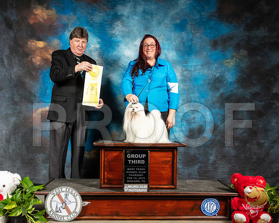 Maltese #5 Thur G3 Judge Charles Olvis_SSR_1803-Midland19-HR3