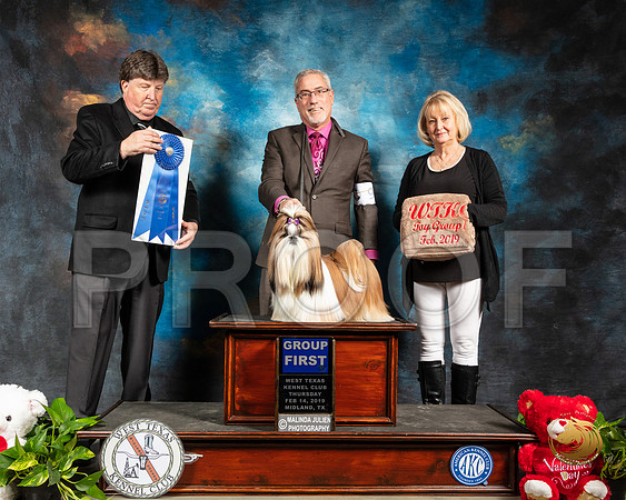 Shih Tzu #9 Thur G1 Judge Charles Olvis_SSR_1806-Midland19-HR3