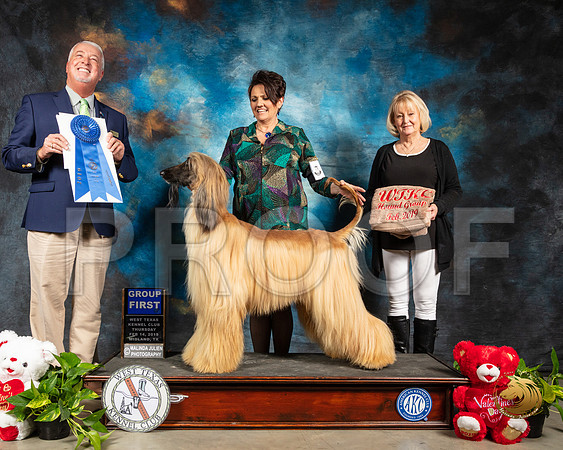 Afghan Hound #7 Thur G1 Judge Dr Steve Keating_SSR_1854-Midland19-HR3