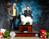 American Eskimo #5 Thur G3 Judge Jon R Cole